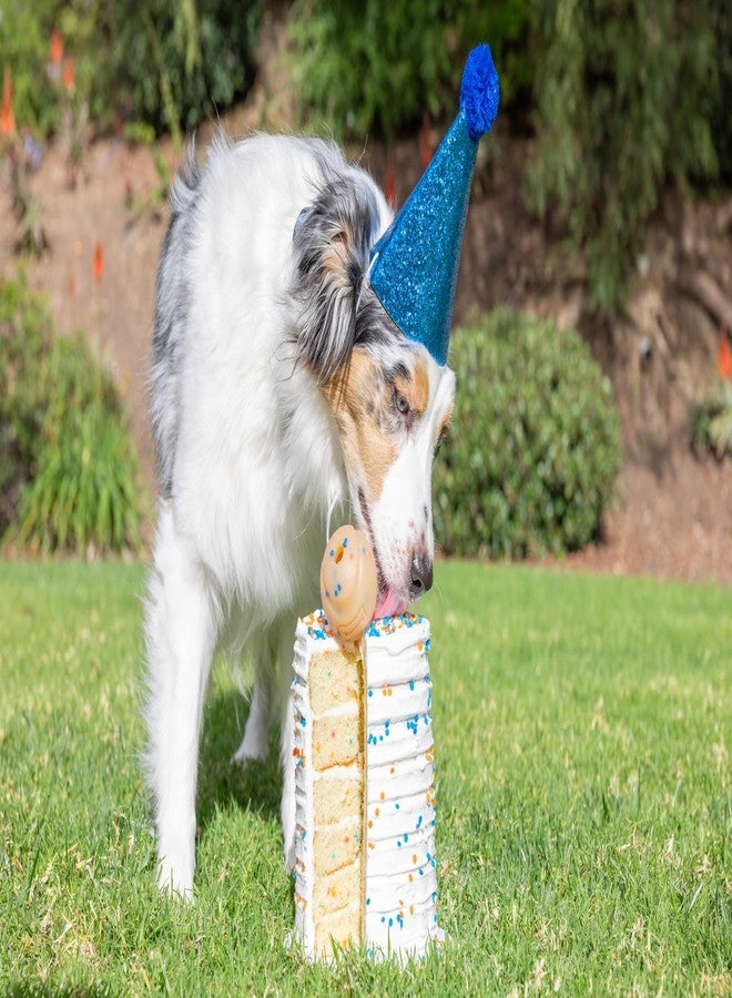 Chuckit! Birthday Fetch Ball, Medium (2.5 Inch Diameter), for Dogs 20-60 lbs, Pack of 1 - Image 3